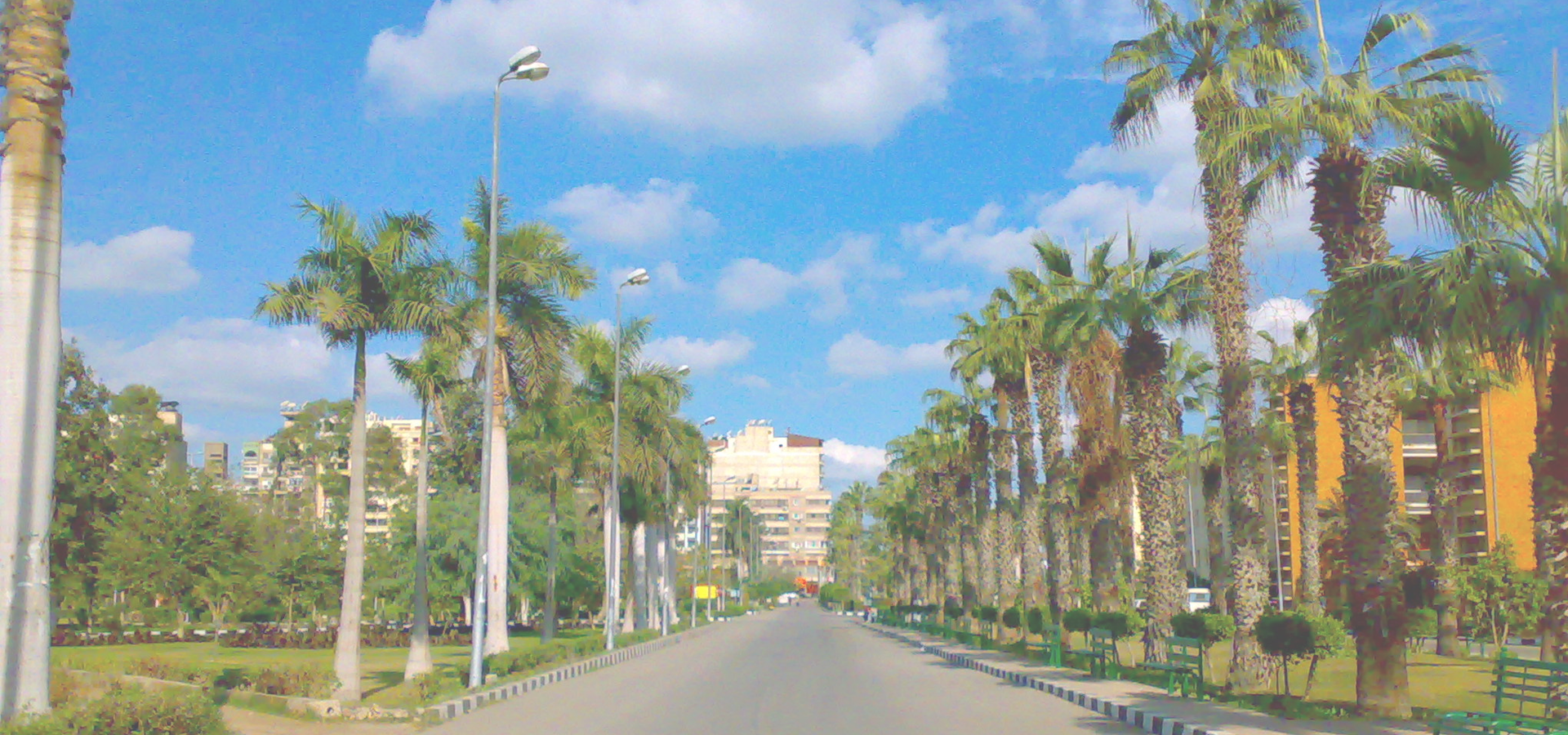 The  SME Market in Egypt