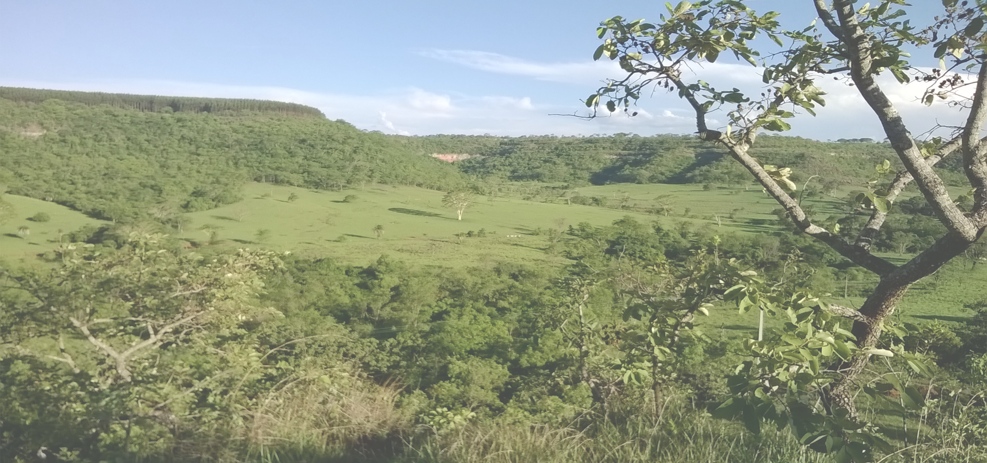 <b>Campina Verde, Minas Gerais, Southeast Region, Brazil</b>